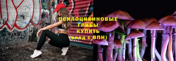 бутират Арсеньев