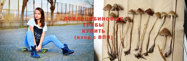 гашик Армянск